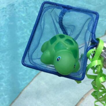 Turtle Splash
